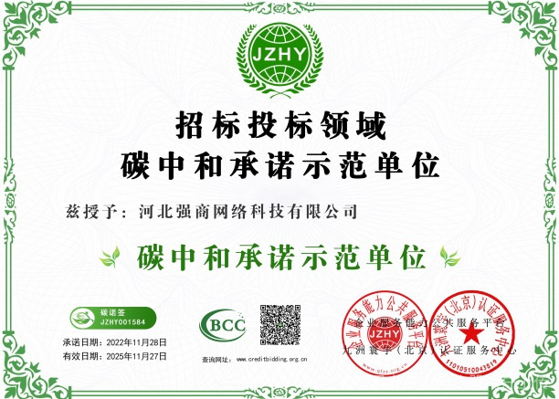 强商网络科技 河北网络科技领域的新锐力量